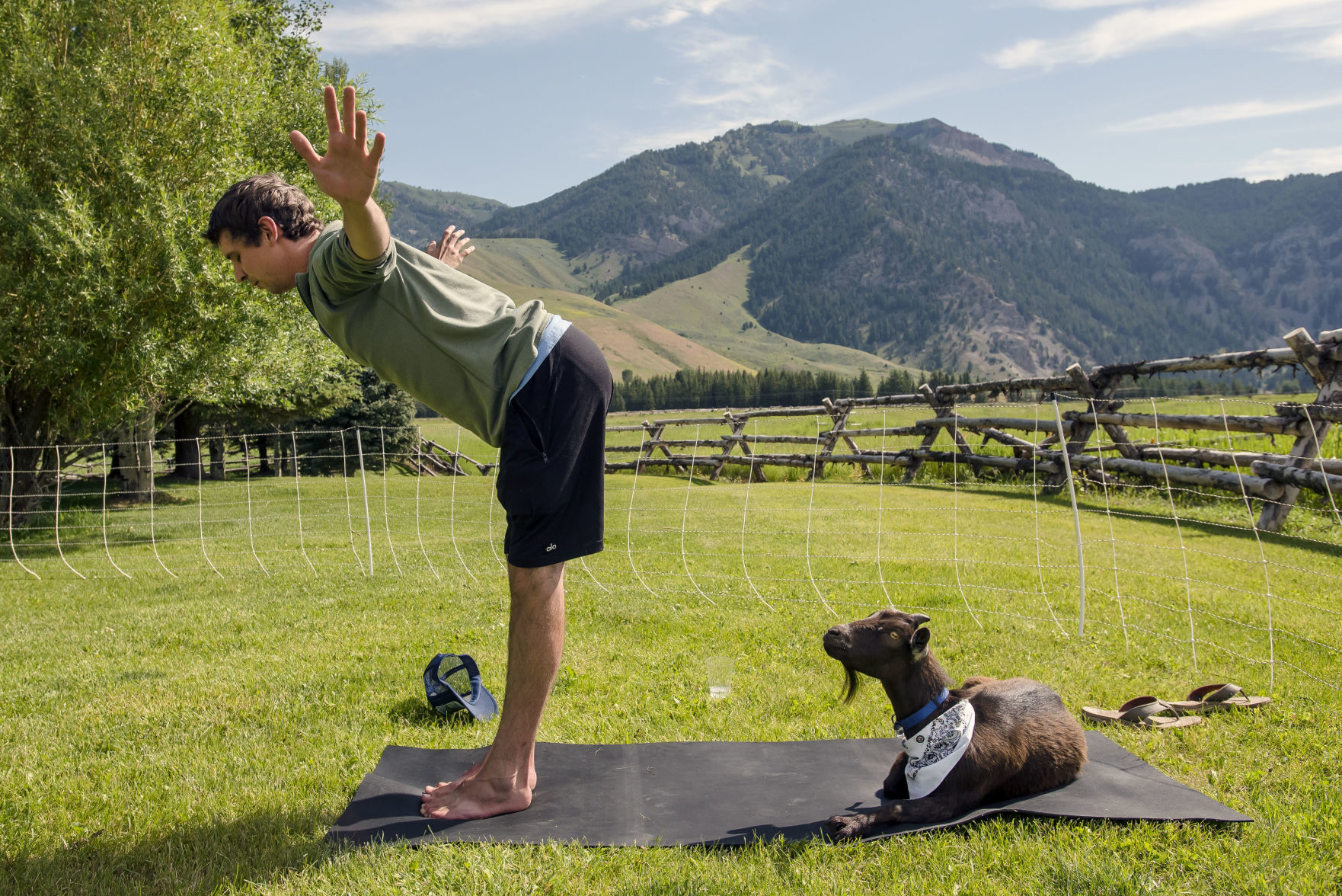 Jackson Hole Goat Yoga